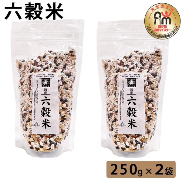 六穀米 250g 2袋 米マイスター 五つ星 鹿児島県産 産地直送 お取り寄せ ギフト プレゼント 贈り物 送料無料