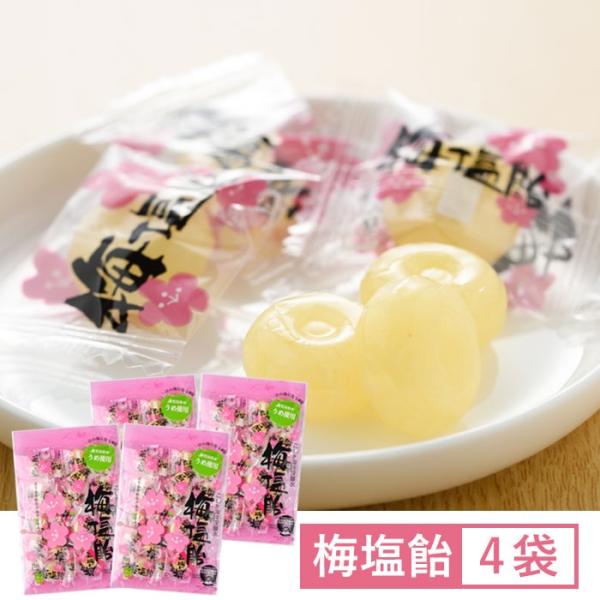 こしき海洋深層水 梅塩飴 90g 4袋 塩あめ しおあめ ミネラル 熱中症対策 夏バテ 脱水 猛暑 塩分補給 鹿児島県 ハロウィン お取り寄せ ギフト プレゼント 贈り物