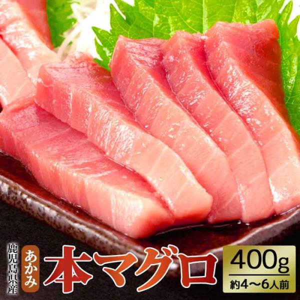 鹿児島県産 本鮪 赤身 200g 2パック 約4〜6人前 黒鮪 柵 冷凍 赤身 中とろ 鹿児島県 ハロウィン 産地直送 お取り寄せ ギフト 贈り物