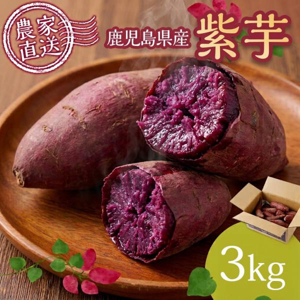 早期予約！ 鹿児島県産 紫芋 3kg さつまいも サツマイモ 野菜 食品 産地直送 産直 鹿児島県 産地直送 お取り寄せ ギフト プレゼント 贈り物 送料無料