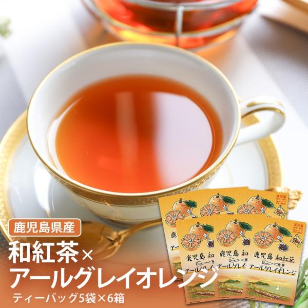 鹿児島県産 アールグレイオレンジ和紅茶 フレーバーティー 1箱5袋入 6箱 べにふうき プチギフト ハロウィン 産地直送 お取り寄せ ギフト