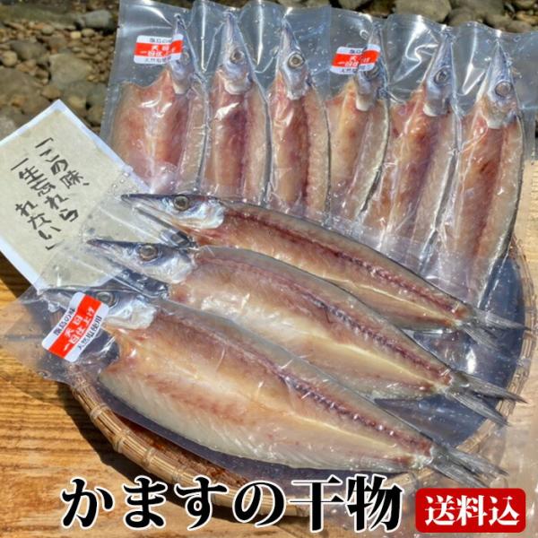 鹿児島 かます 干物 (3〜4尾入り) 3袋 カマス 無添加 国産 鹿児島県 ハロウィン 産地直送 お取り寄せ ギフト プレゼント 贈り物