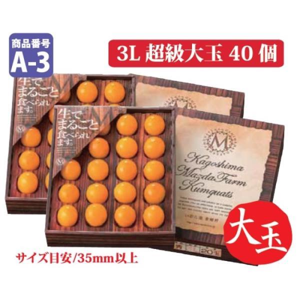 数量限定 鹿児島県産 完熟きんかん 3L超級 大玉 20個×2箱 金柑 果物
