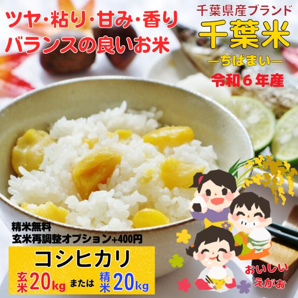 米 10kg 千葉県産コシヒカリ お米 白米 10キロ 精米無料 玄米 10kg 令和5年 産 こしひかり 検査1等 :1201kh526:千葉のお米専門店 ヨロズヤ 通販 徳島県産こしひかり玄米10kg