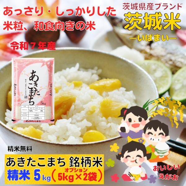 コシヒカリ 20kg 千葉県産コシヒカリ 新米 お米 白米20キロ 精米