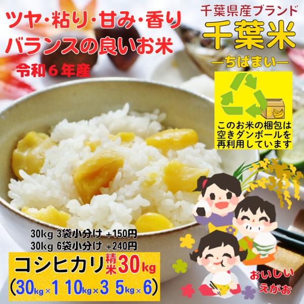 コシヒカリ 30kg 白米 千葉県 米 お米 精米 30キロ 令和6年 コシヒカリ 30kg 白米 千葉県 米 お米 精米 30キロ 令和6年