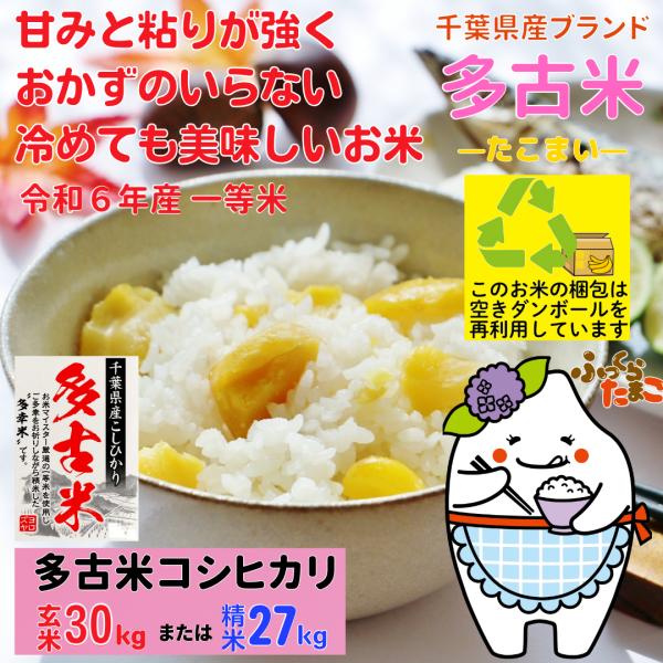 コシヒカリ 多古米 たこまい 30kg 精米 27kg 千葉県多古産 コシヒカリ 多古米 たこまい 30kg 精米 27kg 千葉県多古産