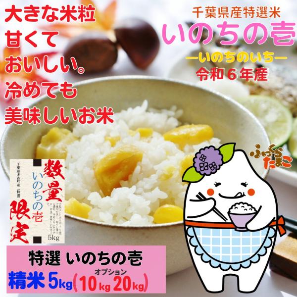 令和2年長野県産 特別栽培米 いのちの壱 玄米10Kg（精米
