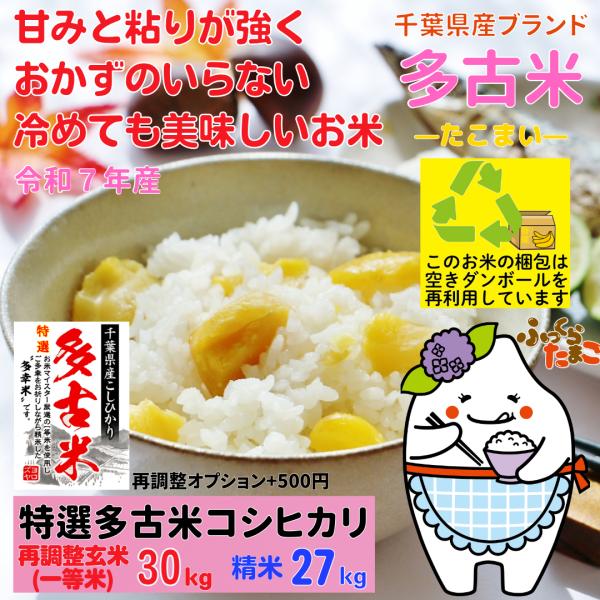 コシヒカリ お米 特選 多古米 たこまい 30kg 精米 27kg 千葉県多古産 