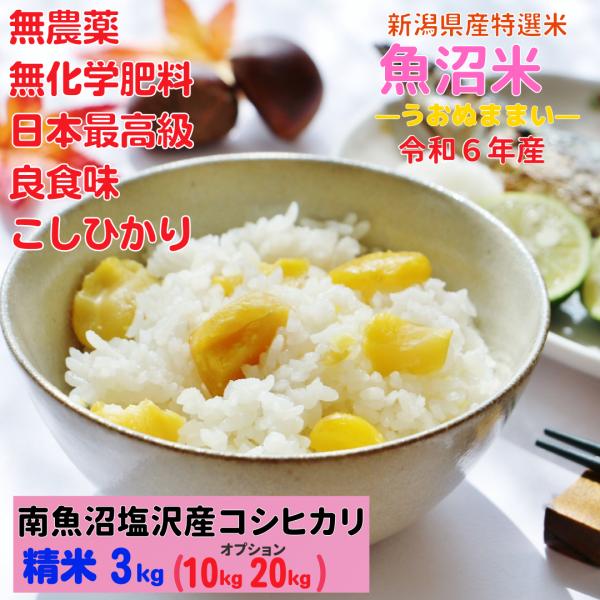 令和6年産 新潟産コシヒカリ 玄米 20kg 新米 精米可 3 令和6年産 新潟