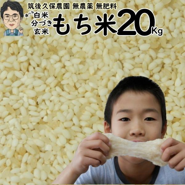 無農薬 特別栽培米 もち米 20kg栽培中 無肥料福岡県産