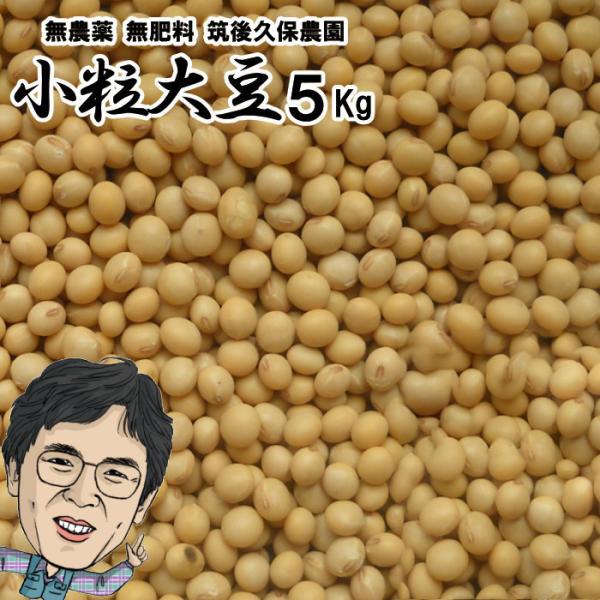 無農薬 小粒大豆 5Kg 福岡県産 筑後久保農園出荷 令和6年度産 無農薬 小粒大豆 5Kg 福岡県産 筑後久保農園出荷 令和6年度産