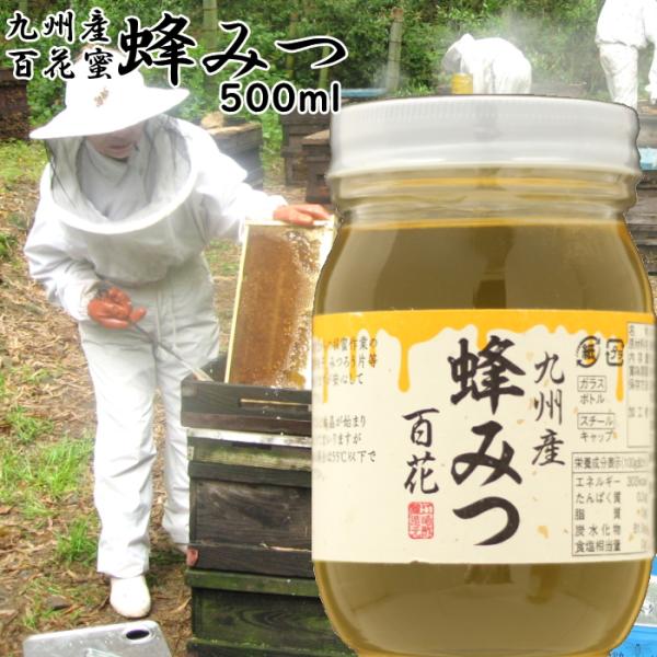 日本蜜蜂　蜂蜜　500g×2　福岡県産　天然百花蜜 ekubo_31083001