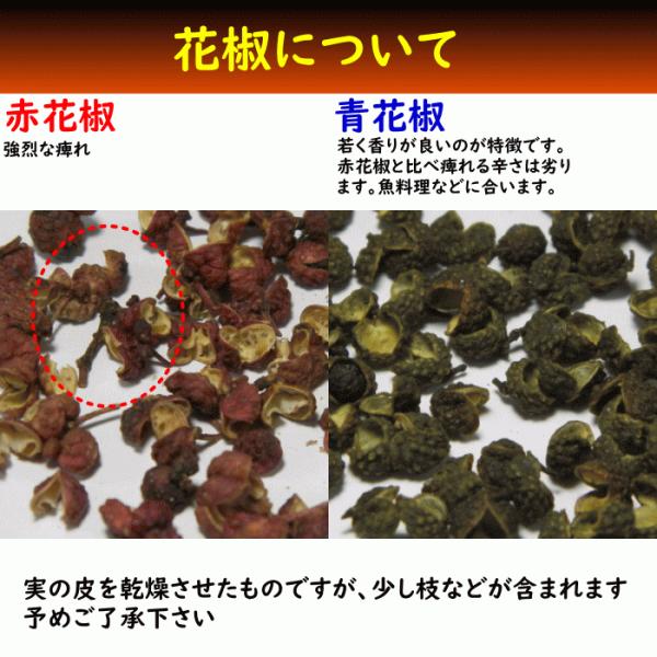赤花椒ホール50g ポスト投函 赤山椒痺れる激辛四川料理スパイス中華料理中国料理 Buyee Buyee 提供一站式最全面最專業現地yahoo Japan拍賣代bid代拍代購服務