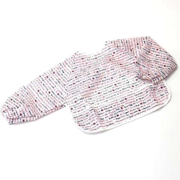 xr[ H ͂Gv  iAJ/bhj{