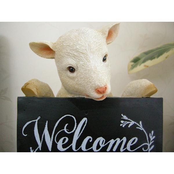 可愛い子ヤギのウェルカムボード Z 31 El Flamingo 通販 Yahoo ショッピング