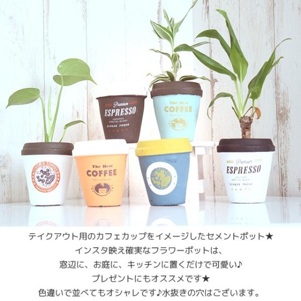 アンポルテ フラワーポット ガーデニング 園芸 植木鉢 植木 プランター ポット 観葉植物 ガーデン カフェ 店舗 鉢 グリーンポット インテリア 花 Buyee Buyee 提供一站式最全面最专业现地yahoo Japan拍卖代bid代拍代购服务 Bot Online