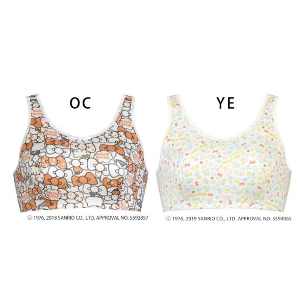 25 Off ワコール ナイトアップブラ ナイトブラ 夜用ブラ 夜ブラ Mlサイズ Bra105 Buyee Buyee Japanese Proxy Service Buy From Japan Bot Online