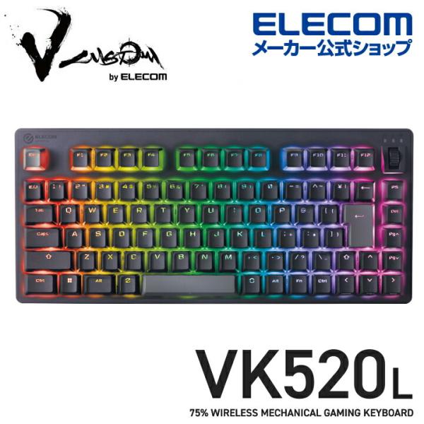 elecom_4549550316538