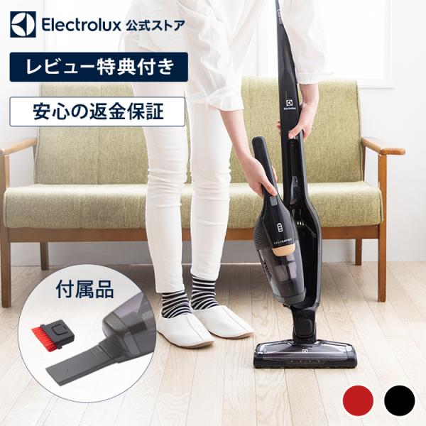 新版 エルゴラピード フィルター エレクトロラックス 掃除 お得な2個セット 特価 エルゴラピード フィルター エレクトロラックス 掃除 お得な3個セット 特価