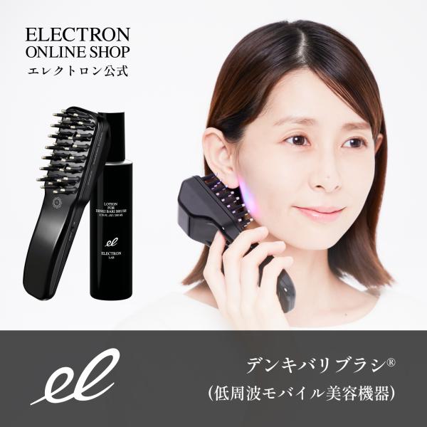 エレクトロン公式 デンキバリブラシ(R)前モデル 電気バリブラシ 電気針