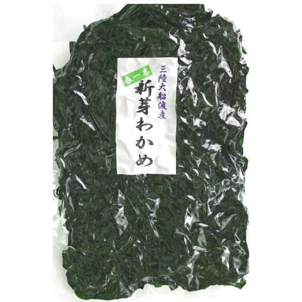 海藻問屋 新芽わかめ 湯通し 塩蔵 (200g) 岩手県大船渡産 2026年 初採り みそ汁の具材 海藻サラダ