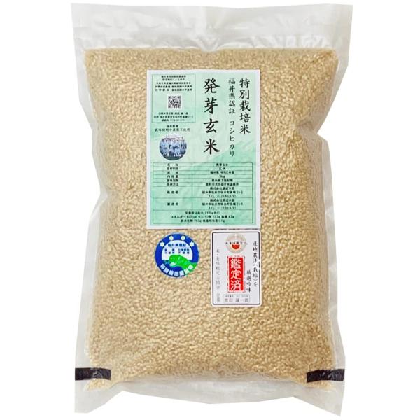 渡辺米穀 コシヒカリ 発芽玄米