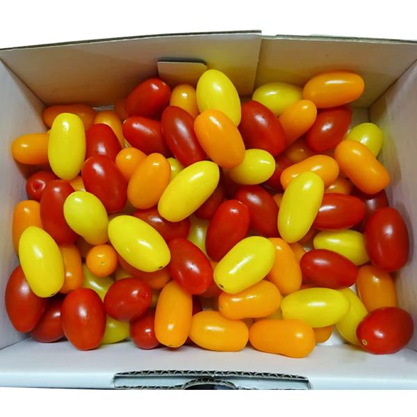 豊橋産高糖度 フルーツミニトマト あまえぎみ クレアＭＩＸ（３色）1kg