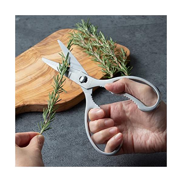 他サイト： 遠藤商事 TKG キッチンはさみ さびにくいステンレス製 分解洗浄可能で衛生的 片の商品画像