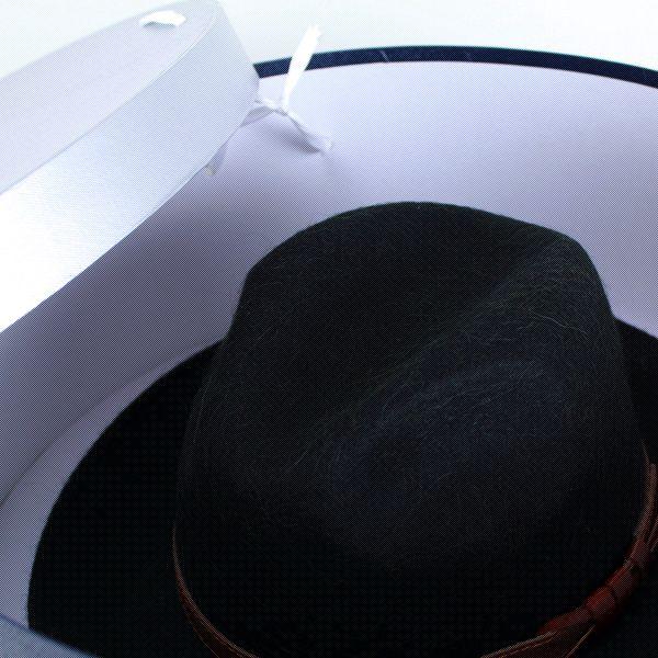 帽子 収納 ハットボックスで帽子の保管で型崩れ防止 メンズ レディース ハット 銀箱 内径39cm Buyee Buyee 提供一站式最全面最專業現地yahoo Japan拍賣代bid代拍代購服務 Bot Online