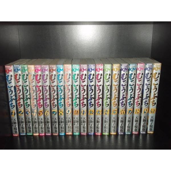 送料無料 計50冊 むこうぶち 1-49巻＋外伝 1巻 天獅子悦也 中古