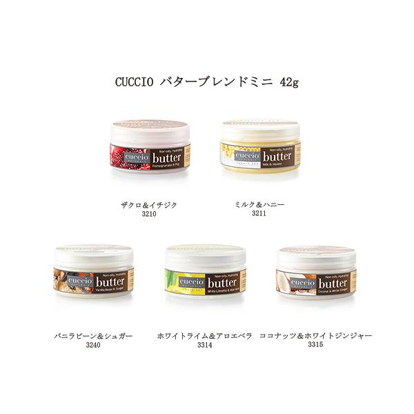 NVI CUCCIO o^[uh~j 42g 5킩炲I {fB[o^[ {fBN[ nhN[ tBjbVON[ Vi 