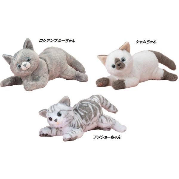 y Ή z ʂ ȂłȂŃV[Y ȂłȂł˂ DX3 S3 gh}X^[ L̐ L̖  ߋ  Vi