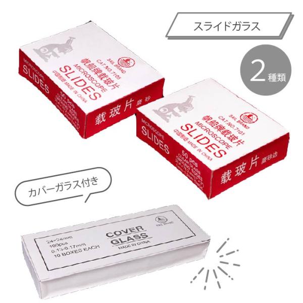 顕微鏡 スライドガラス 50枚入り 【2種類からご選択】 カバーガラス24mm×24mm100枚付属 プレパラート メモ書き用すりガラス 書き込みできる 角ガラス マイクロスコープ 微生物 理科 科学 実験 研究 観察 学習 知育 サイエン...