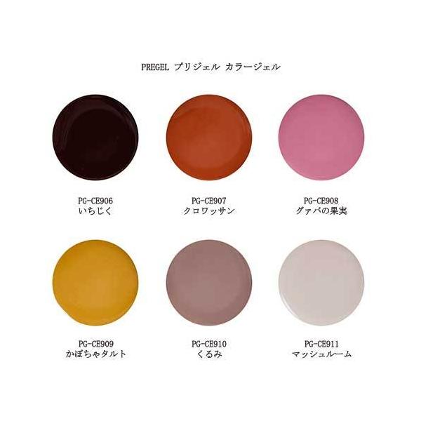 プリジェル カラージェル PREGEL カラーEX PG-CE906 PG-CE907 PG-CE908
