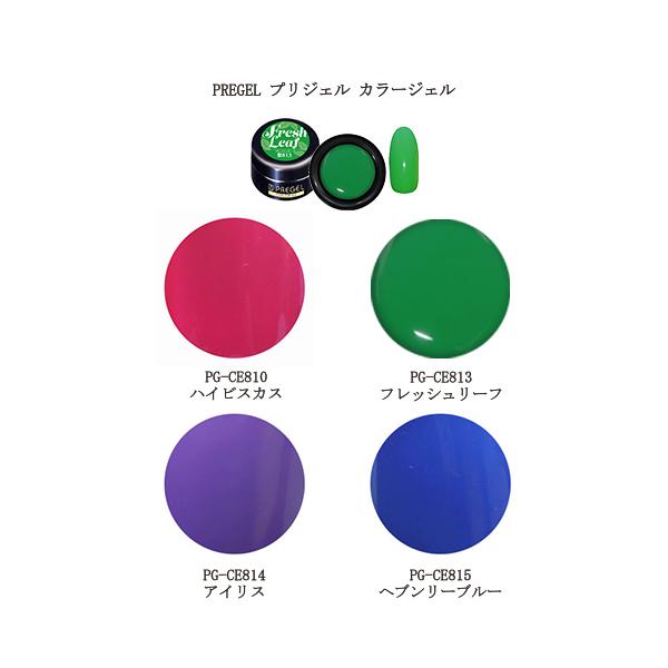 �v���W�F�� �J���[�W�F�� PREGEL �J���[EX PG-CE810 PG-CE813 PG-CE814 PG-CE815 �g���s�J���t�����[�V���[�Y �}�b�g 3g �l�C���J���[ �l�C���X�g �V�i ��������