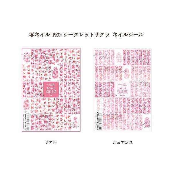 ʃlC PRO V[NbgTN lC  TNX^C 2ނ炲I V[NbgTN A jAX tlC fUC Vi 