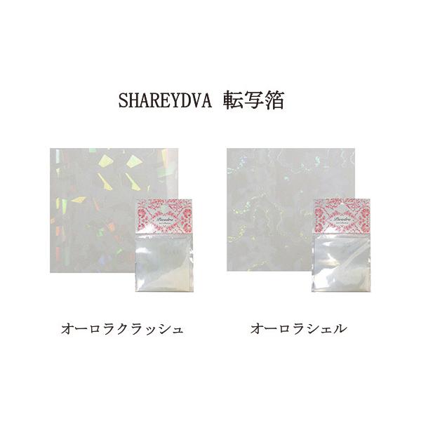 Vh SHAREYDVA ]ʔ I[NbV I[VF 4.5cm×4.5cm 5Zbg (2킩炲I) tBV[g ]ʃV[g zC Vi 