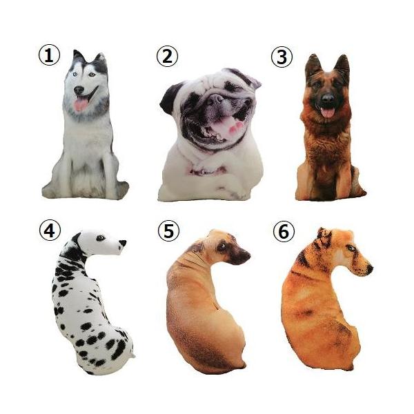 3D ̂ʂ NbV {i A ^ybg   ޑI\ p[eB[ CeA  yz Vi