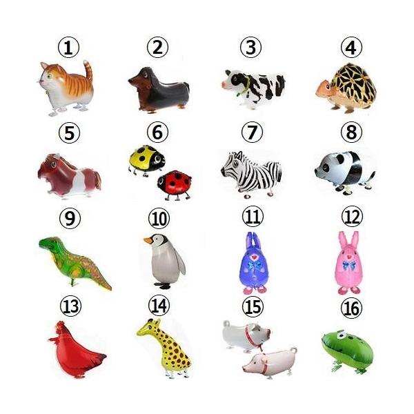 Aj}o[ D X^htbgt ޑI\ 16 L ETM p[eB[ Cxg ꕔ_J[  yz Vi