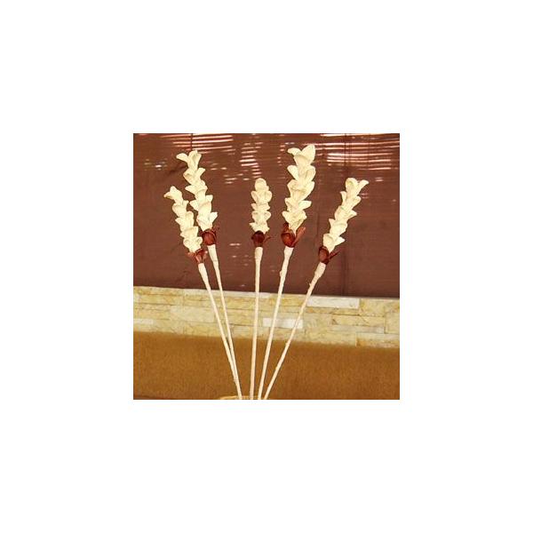 AWAG R[[tƃoii̖؂̔ŏoA[gvc B^Cv AWAH[ 10958