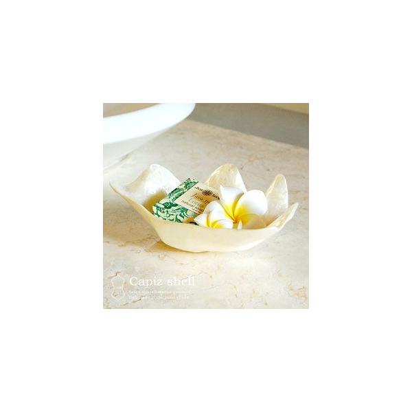 Lǩ`JsXVF̏gC AWAH[ 11555