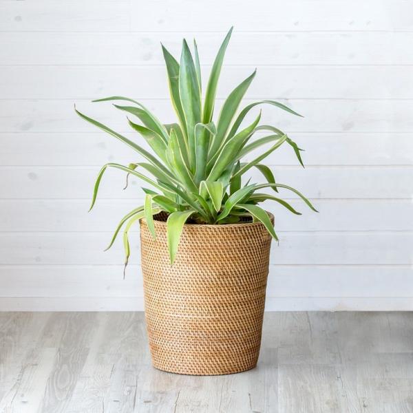 S~ ݔ _Xg{bNX  VRf ^ v^[Jo[ oXPbg  i` nht ی^ ~`  AWAH[ 12845a