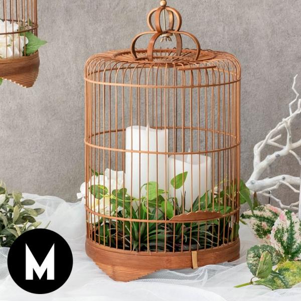  | ou[ i` MTCY tbN ݂艺 肳o[hP[W   IV AeB[N    nMO 51190