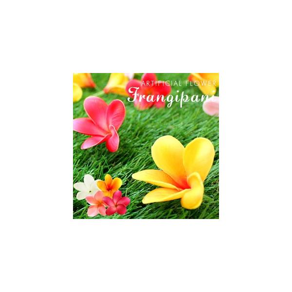 vÃA tWpj 4FWJ 6161