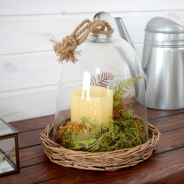 観葉植物 エアプランツ テラリウムの人気商品 通販 価格比較 価格 Com