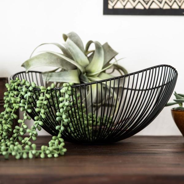 oXPbg C[oXPbg  Eh^ X`[ C[ {[ ȉ~` t[oXPbg t[coXPbg   [ {bNX 66643