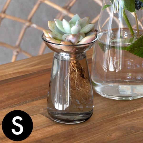 t[x[X ֑} KX ^J NA O[ ԕr 200ml k͔| CeA  90391