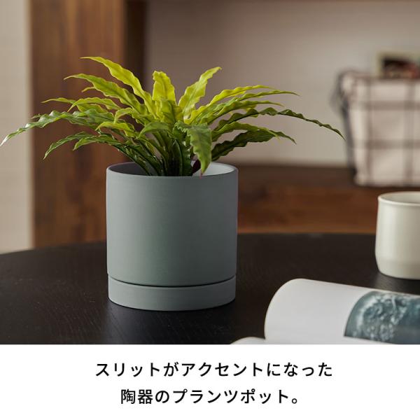 �A�� �� ���� �}�b�g 4�� ��M �ꌊ���� ���^ S�T�C�Y ���a �� 11.5cm ���� 11cm �� �ϗt ���� �v�����^�[ �J�o�[ ������� �k�� �J�t�F �G�� ���C�� 94031 ���i�摜1