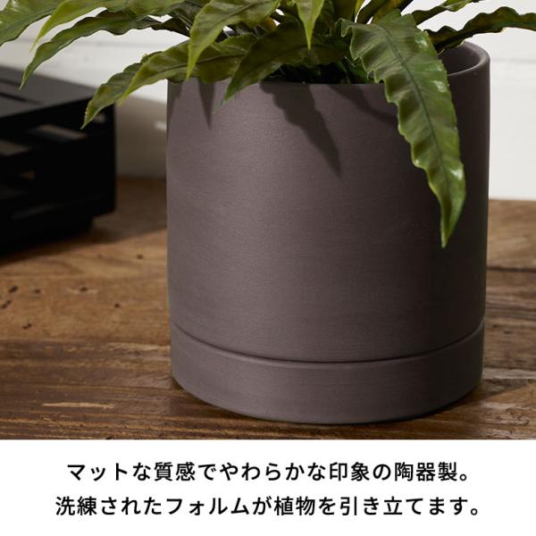 �A�� �� ���� �}�b�g 4�� ��M �ꌊ���� ���^ S�T�C�Y ���a �� 11.5cm ���� 11cm �� �ϗt ���� �v�����^�[ �J�o�[ ������� �k�� �J�t�F �G�� ���C�� 94031 ���i�摜2